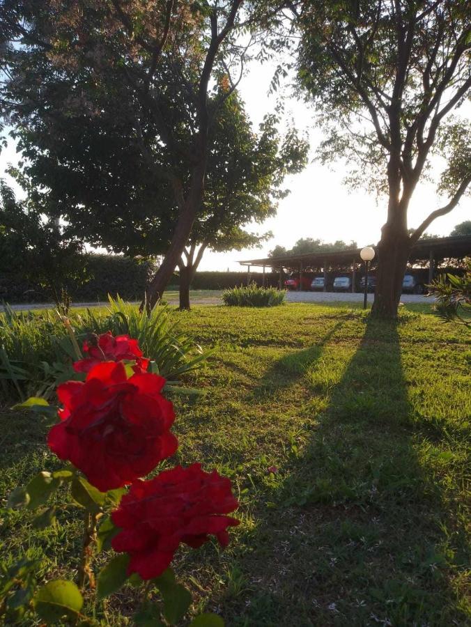 Agriturismo Podere Santa Virginia Albinia Exterior foto